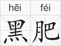 黑肥的拼音