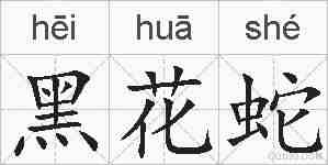 黑花蛇的拼音