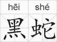 黑蛇的拼音