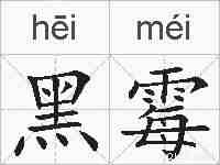 黑霉的拼音