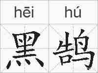 黑鹄的拼音