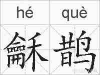龢鹊的拼音