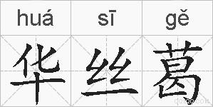 华丝葛的拼音