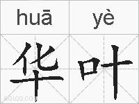 华叶的拼音