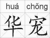 华宠的拼音