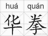 华拳的拼音