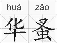 华蚤的拼音