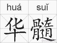 华髓的拼音