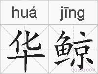 华鲸的拼音