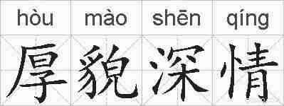厚貌深情的拼音
