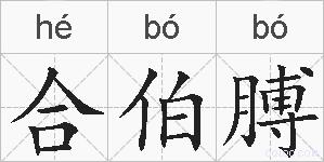 合伯膊的拼音