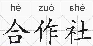 合作社的拼音