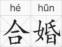 合婚的拼音