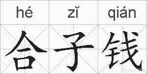 合子钱的拼音