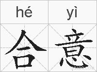合意的拼音