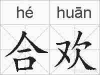 合欢的拼音