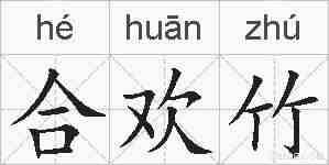 合欢竹的拼音