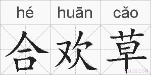 合欢草的拼音
