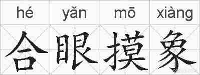 合眼摸象的拼音