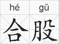 合股的拼音