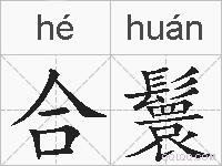 合鬟的拼音