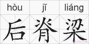 后脊梁的拼音