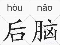 后脑的拼音