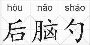 后脑勺的拼音