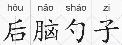 后脑勺子的拼音