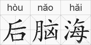 后脑海的拼音