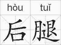 后腿的拼音