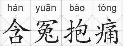 含冤抱痛的拼音