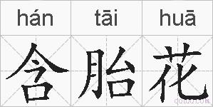 含胎花的拼音