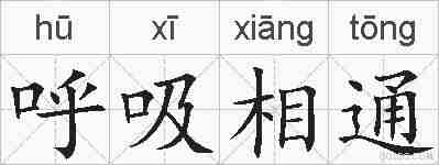 呼吸相通的拼音