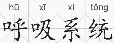 呼吸系统的拼音