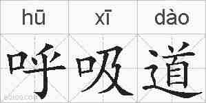 呼吸道的拼音