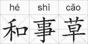 和事草的拼音
