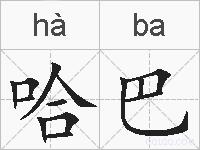 哈巴的拼音