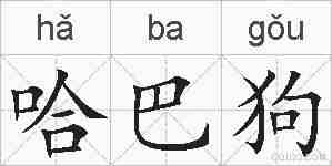 哈巴狗的拼音