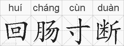 回肠寸断的拼音