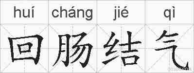 回肠结气的拼音