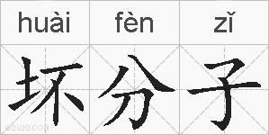 坏分子的拼音