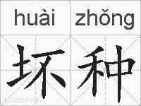 坏种的拼音
