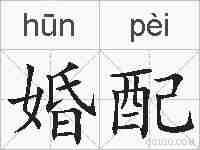 婚配的拼音