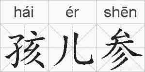 孩儿参的拼音