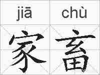 家畜的拼音