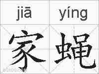家蝇的拼音