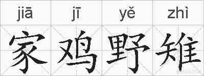 家鸡野雉的拼音