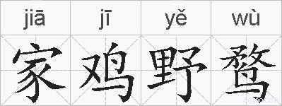 家鸡野鹜的拼音