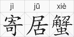 寄居蟹的拼音